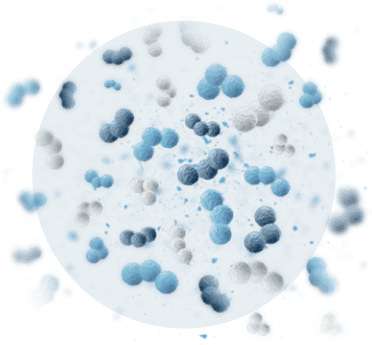 The Added Edge of Hydrolyzed Collagen
