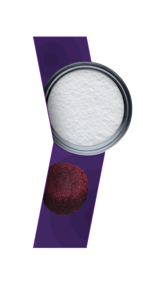 ACTIGEN™ Verified Inductive Bone Matrix