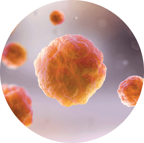 Safely Disrupt Biofilm