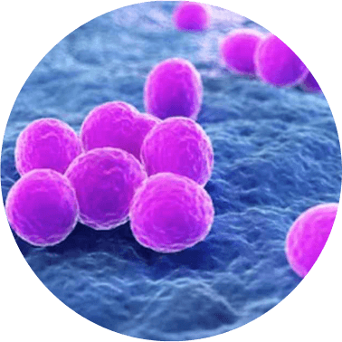 MRSA