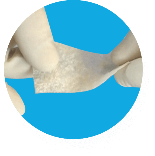 TEXAGEN® Amniotic Membrane Allograft
