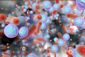 A visual representation of biofilm